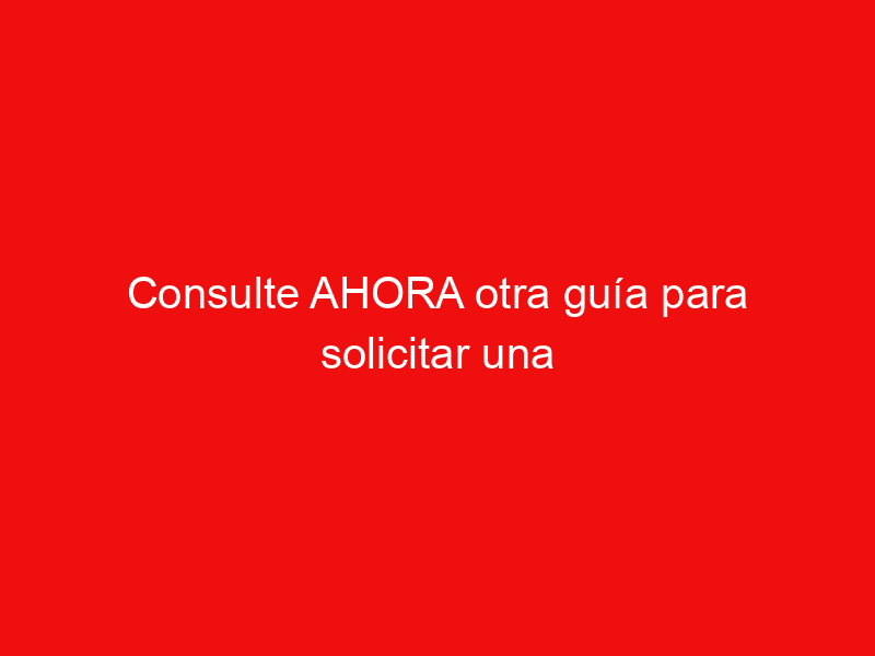 Consulte AHORA otra guía para solicitar una tarjeta de crédito Travel Rewards de Bank of America