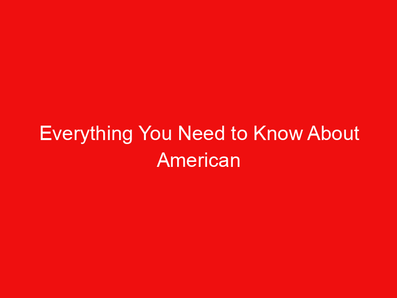 Everything You Need to Know About American Express Personal Loans